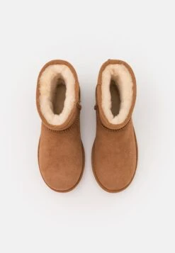 Ugg Classic Mini Regenerate - Korte Laarzen - Chestnut -Dameskledingwinkel c419bf20ef7740dfa3fa48ec187c5be8
